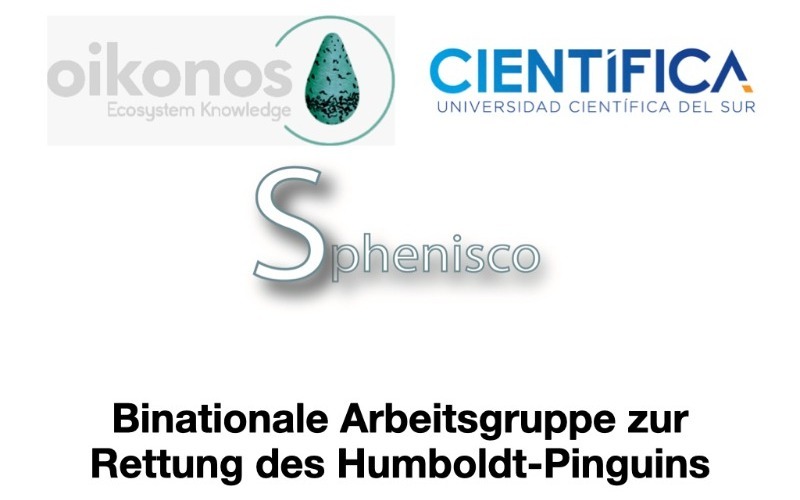 Let’s Save the Humboldt Penguins Together!